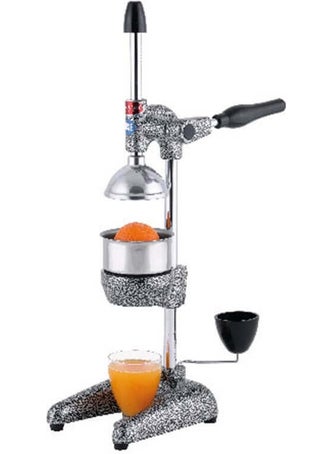 102 Professional Type Orange Juicer - pzsku/Z92A89ADD289DEA831FF2Z/45/_/1725792691/f3acbdda-518c-4fe6-b95f-38cf4f197461