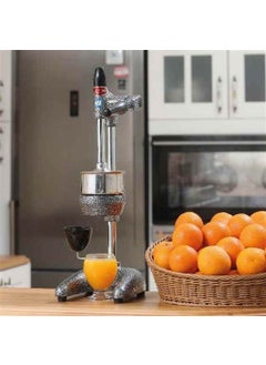 102 Professional Type Orange Juicer - pzsku/Z92A89ADD289DEA831FF2Z/45/_/1725792756/25ddcb9d-7019-4f2f-8f98-d908f8425b4d