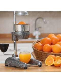 102 Professional Type Orange Juicer - pzsku/Z92A89ADD289DEA831FF2Z/45/_/1725792840/e9758e20-aa57-410b-8885-d647f29f3b5c