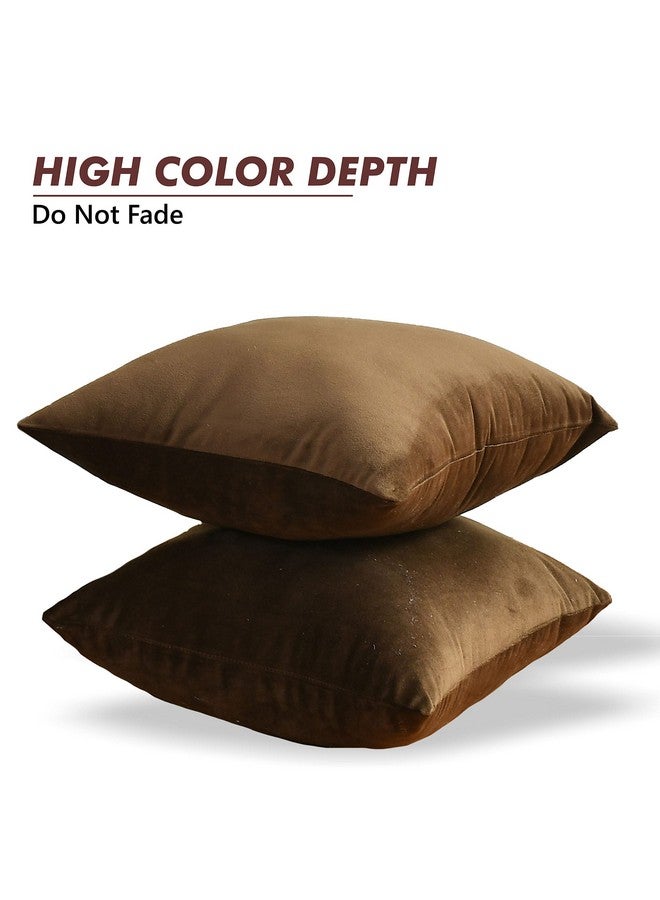 Yellow Weaves Soft Velvet Fabric Cushion Cover 24 X 24 Inches, Set of 3, (Coffee) - Image 2