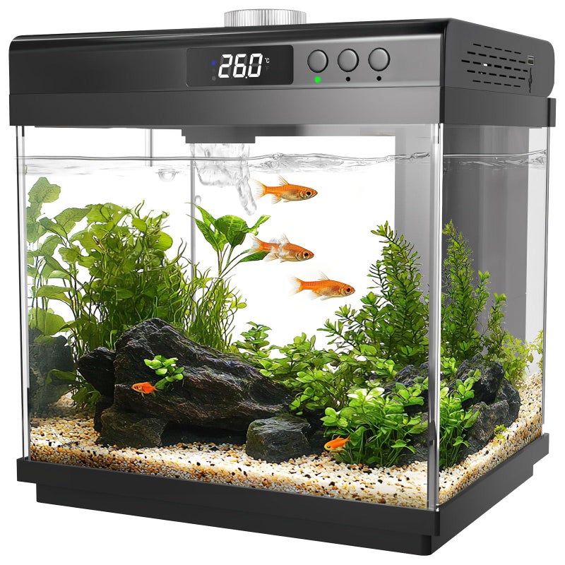 AQQA 3.7 Gallon Aquarium Starter Kit Small Glass Fish Tank with Filter and Light (10 Colors Adjustable) Desktop Self-Cleaning Betta Fish Tank Kit Office & Home Decor Idea (Black) - Image 1