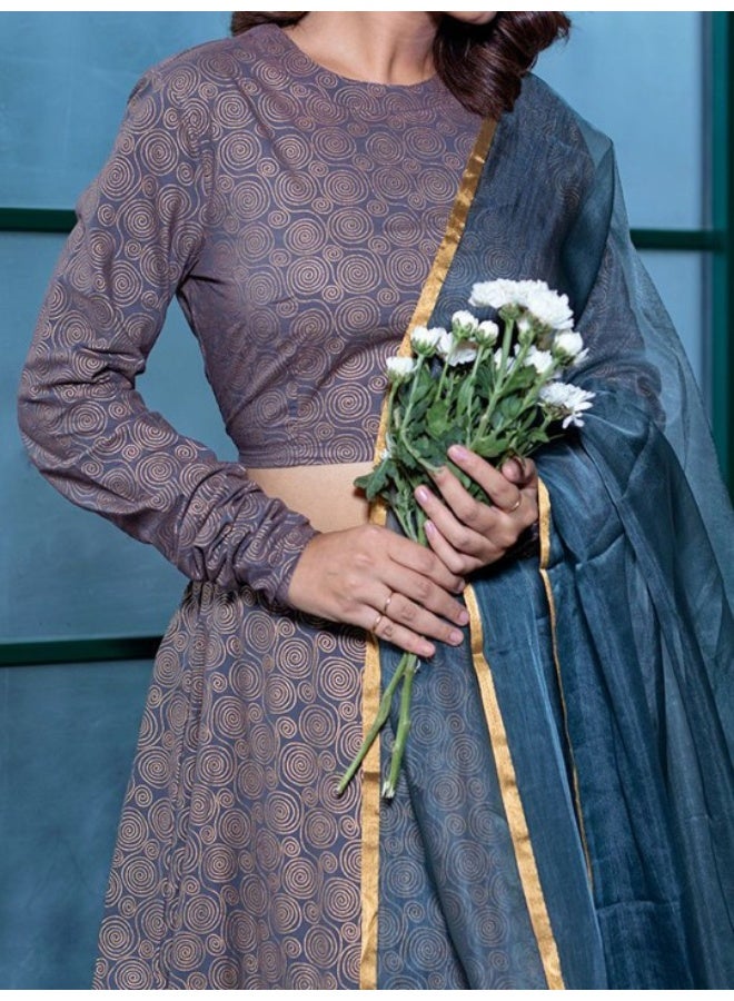 AKS Grey & Gold Lehenga Choli With Organza Dupatta - Image 3