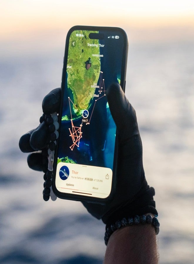 Fahlo Shark Tracking Bracelet, Coral Reef Violet - Image 3