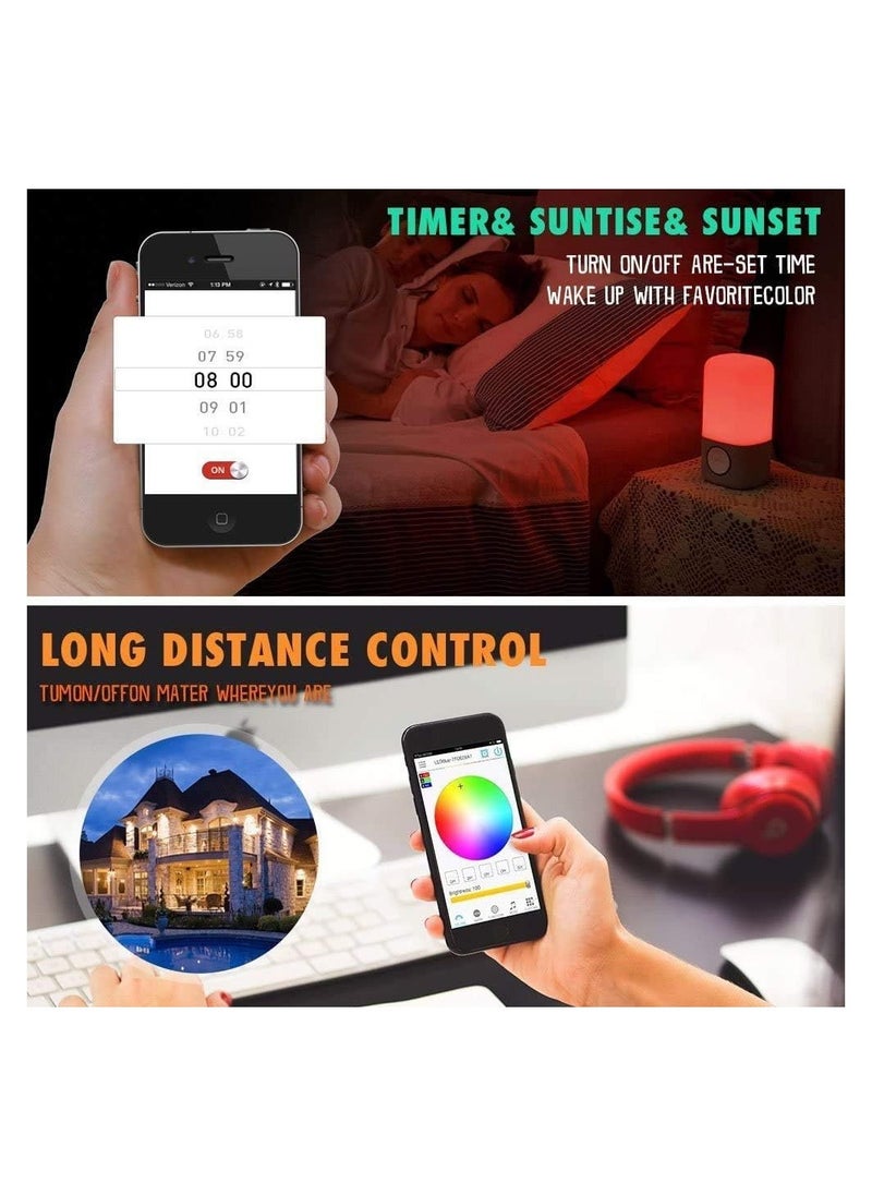 Smart RGB WiFi LED Controller, 4-Pin Output, Compatible with Alexa/Google Home Assistant/IFTTT Android/iOS for SMD 3535 5050 2835 Color Changing LED Strip Lights, 24 Key Remote Control (2-Port)
