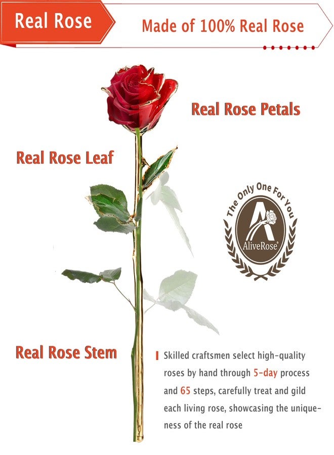 AliveRose 24k Gold Rose, Golden Rose Made from Real Rose - Unique Design Dipped Rose for Anniversary Valentines Mothers Day Birthday Gifts (Golden Rose with Stand) - Image 3