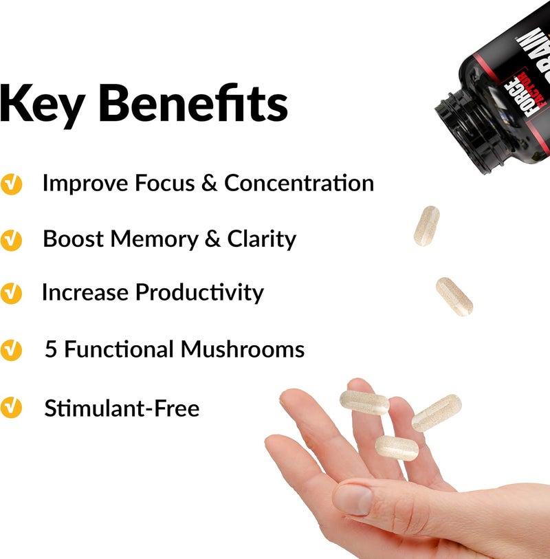 Force Factor Forebrain Focus Brain Booster Brain Supplement to Boost Clarity  Concentration Improve Memory  Increase Productivity Nootropic Brain Support Supplement 180 Capsules Black - Image 2