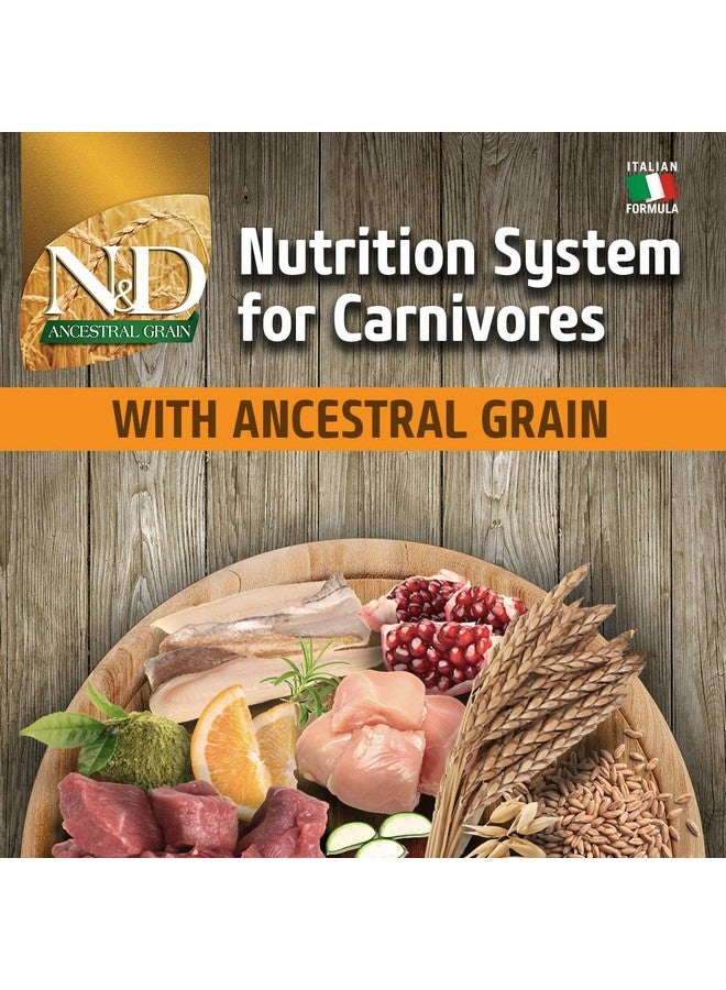 فارمينا طعام كلاب جاف طبيعي ولذيذ بتركيبة منخفضة الحبوب من الدجاج والأسلاف، 5.5 رطل - Image 5