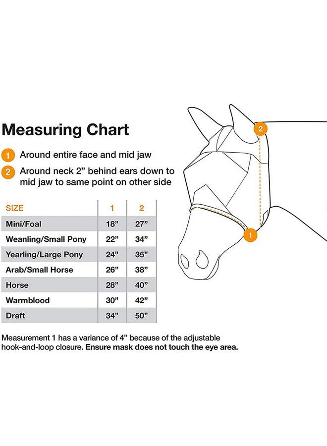 كاشيل قناع كاشيل كروسيدر للحصان المجنح للأعمال الخيرية، أزرق، للأطفال في عمر عام واحد - Image 2