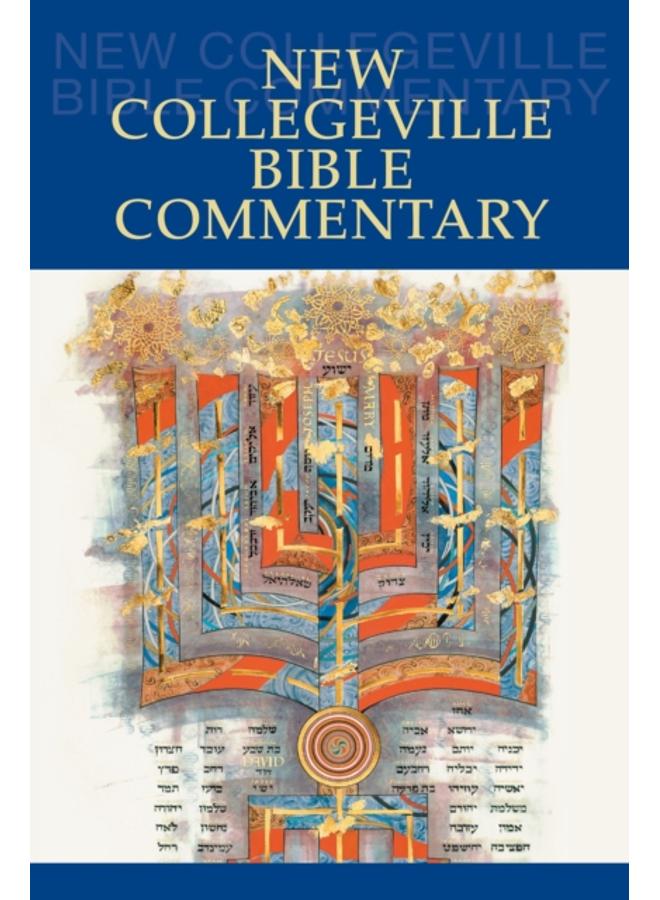 New Collegeville Bible Commentary : One Volume Hardcover Edition 