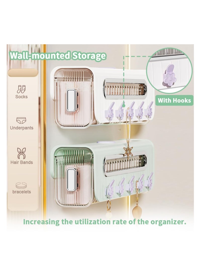 KASTWAVE - Wall Mounted Socks Underwear Drawer Organizer, Pull-out Wardrobe Socks Organizer, Transparent Underwear Panties Drawer Storage Box for Socks, Lingerie, Ties, Cosmetic, Kitchen Spice (White) - Image 1