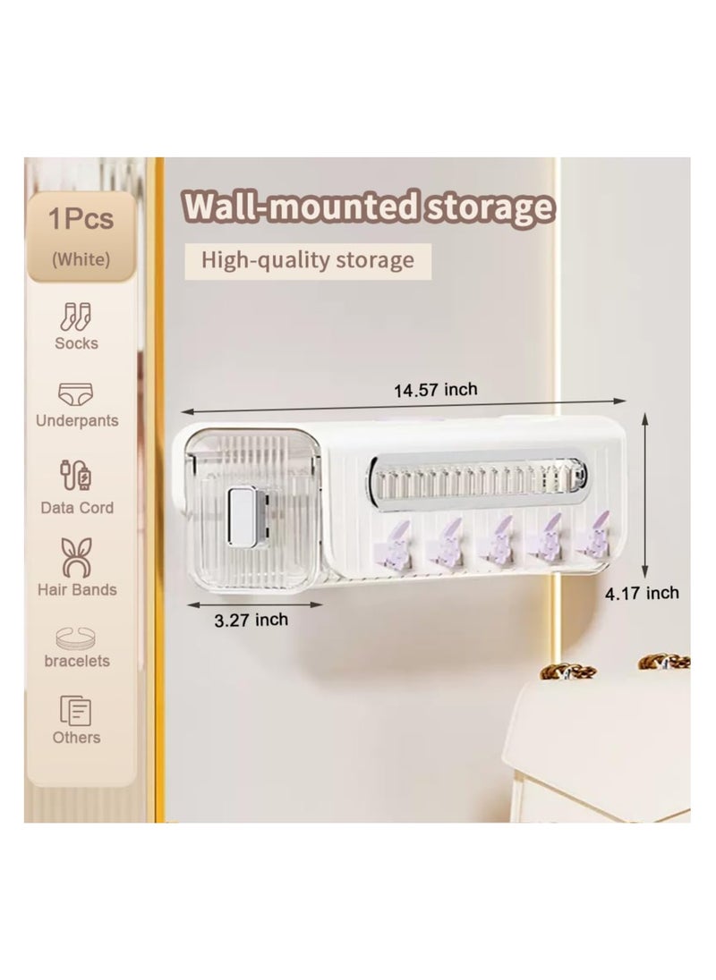 KASTWAVE - Wall Mounted Socks Underwear Drawer Organizer, Pull-out Wardrobe Socks Organizer, Transparent Underwear Panties Drawer Storage Box for Socks, Lingerie, Ties, Cosmetic, Kitchen Spice (White) - Image 1