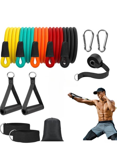14-Piece Anti-Snap Resistance Band Exercise Set 14 Pieces with Handles, Door Anchor, Ankle Straps, Training Manual and Carrying Bag