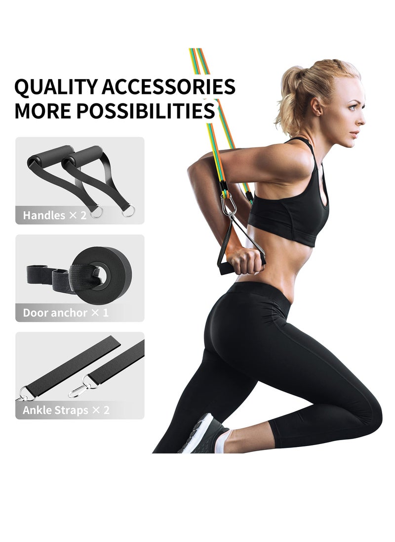 14-Piece Anti-Snap Resistance Band Exercise Set 14 Pieces with Handles, Door Anchor, Ankle Straps, Training Manual and Carrying Bag