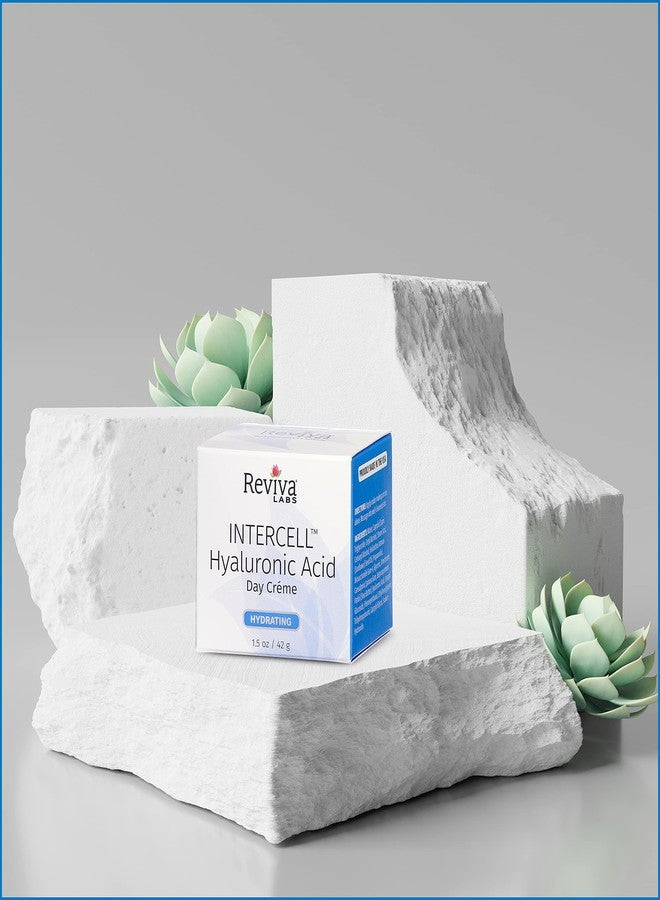 REVIVA LABS - Intercell Hyaluronic Acid Day Creme - Image 4