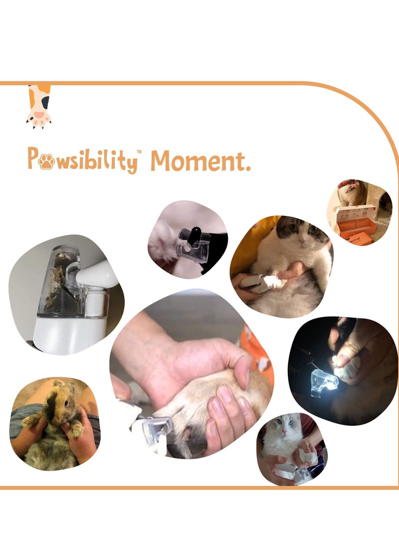 Excefore Pet Nail Clippers, with Safety Guard to Avoid over Cutting Led Luminous Blood Line Trimming Nail Polish, Vets Recommended Trimming Tool for Dogs and Cats - Image 4