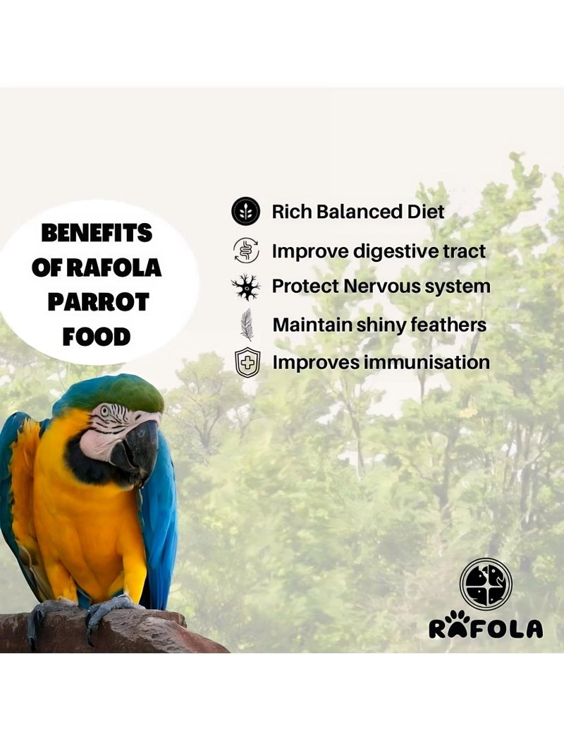 RAFOLA Big Parrot Food-Premium Bird Food Granule For Exotic Birds For All Life Stages(1 Kg Bag) Long-Lasting Nourishment And Optimal Health High-Variety Formula Mix Blend - Image 3