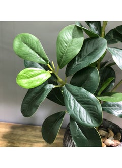Arabest Creative Office Decor Vintage Faux Polyscias Plant Ceramic Tabletop Green Potted Plant for Home Decor  - Image 2