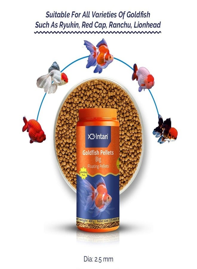 كينكو أكواتيك إنتان حبيبات طعام للأسماك الذهبية | حبيبات عائمة كبيرة للأسماك | تغذية يومية للأسماك من أجل الصحة والنمو | عبوة جامبو 400 غرام، حجم الحبيبات - قطر 2.5 مم، عبوة واحدة - Image 2