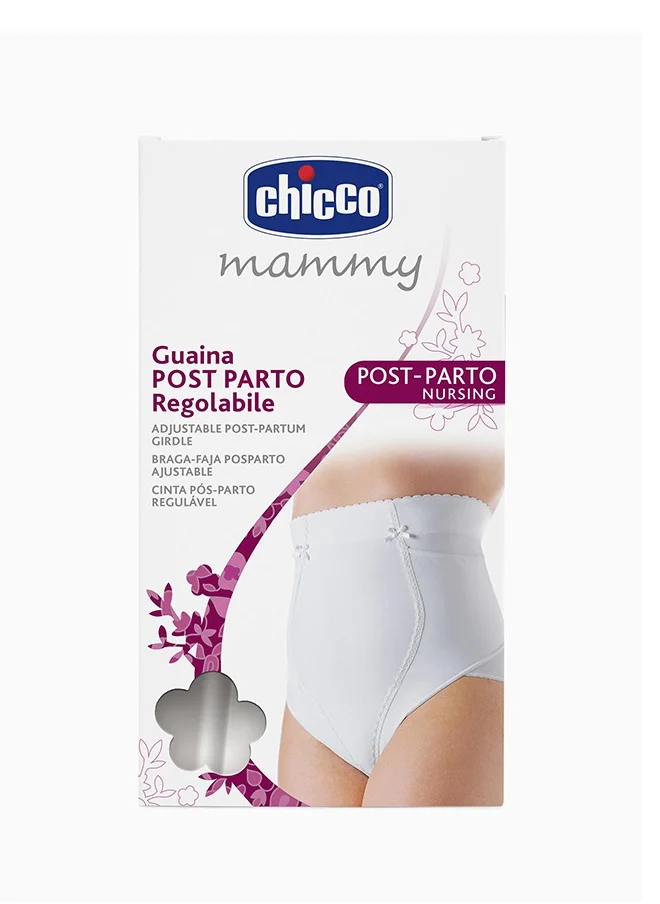 Chicco Postpartum Adjustable Girdle, Size 4