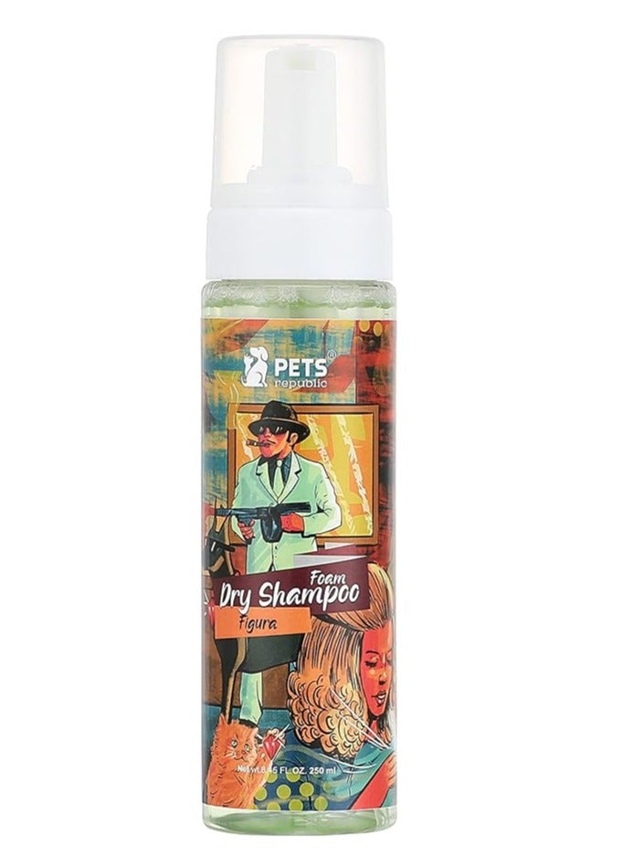 Foam Dry Shampoo Figura 250ml