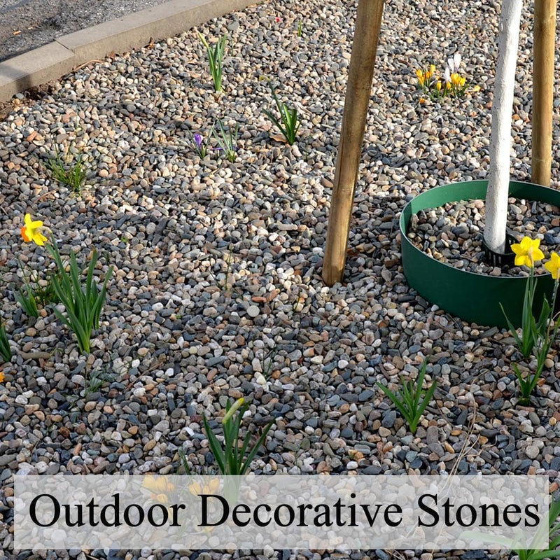 FANTIAN 20 lbs Pea Gravel Pebbles for Indoor Plants, 2/5 Inch Mixed Color River Rocks for Aquarium, Succulent, Vase, Bonsai, Garden, Plant Soil Cover and Outdoor Landscaping Rocks - Image 5