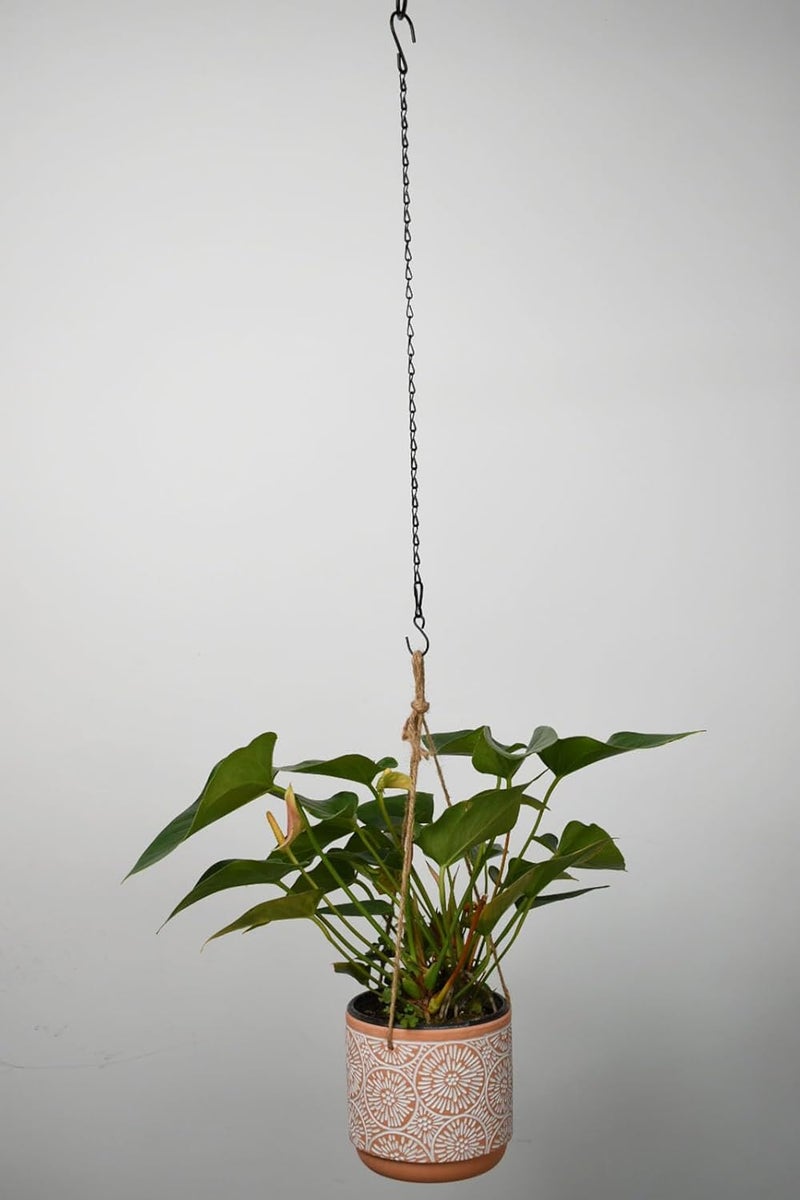 Sersberg Chain for Hanging Plants,21 Inch Black Hanging Chain, Small Hanging Basket Chain Kits with Hooks for Bird Feeder Hanging Basket Extender Porch Wind Chime (Black, 21 Inch-6PCS) - Image 5
