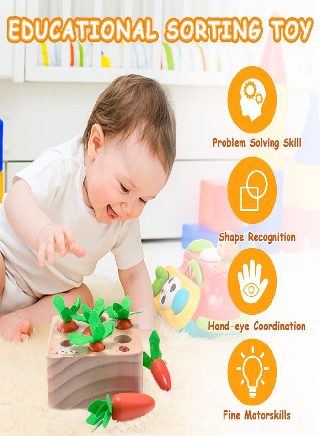 XPIY Montessori Toys for 1 Year Old, Carrots Harvest Wooden Baby Toys for 6-12 Months Educational Shape Sorting Matching Toys for Toddler Fine Motor Skill Development, Gift for Kids Birthday Easter - Image 2