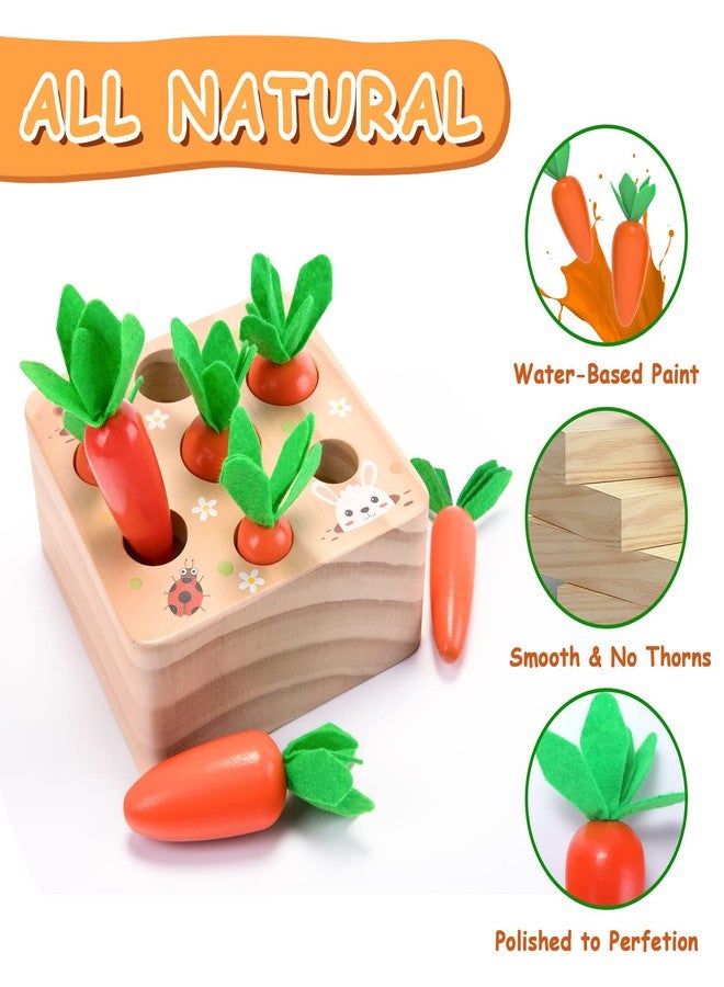 XPIY Montessori Toys for 1 Year Old, Carrots Harvest Wooden Baby Toys for 6-12 Months Educational Shape Sorting Matching Toys for Toddler Fine Motor Skill Development, Gift for Kids Birthday Easter - Image 4