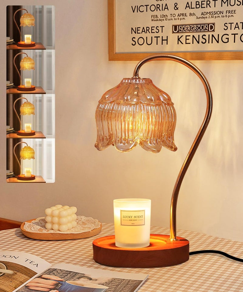 AIKAMI Candle Warmer Lamp Dimmable with Timer- Mothers's Day Gifts for Mom, Fragrance Flower Candle Lamp with 2 *50W Bulbs, Wax Melter Warmer Lamps for Jar Candle, Christmas Halloween House Warming Gifts - Image 1