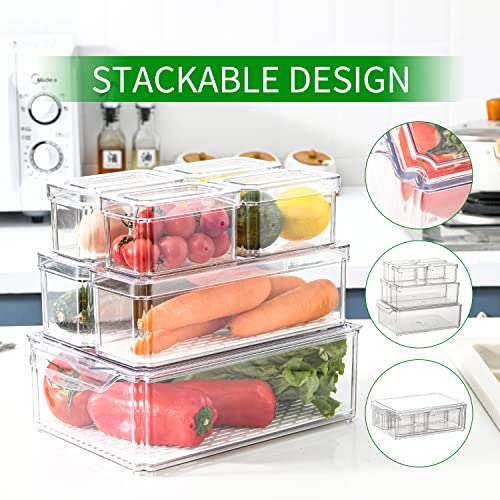 ZODZE 7 Pack Fridge Organizers and Storage, Stackable Bins with Lid, BPA-Free Fruit Containers for Fridge, Clear Produce Saver, Kitchen&Pantry Organizer for Food, Vegetables&Fruit, Snacks, Eggs - Image 3