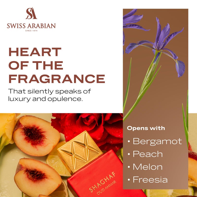 SWISS ARABIAN شغف عود أحمر من Swiss Arabian - منتجات فاخرة من دبي - عطر شخصي بخاخ EDP يدوم طويلاً ومغري - رائحة مغرية، توقيع مميز - العطر الفاخر من العربية - 2.5 أونصة - Image 4