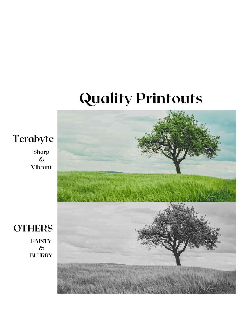 Terabyte TN460/6600/570 BLACK COMPATIBLE TONER - Image 4