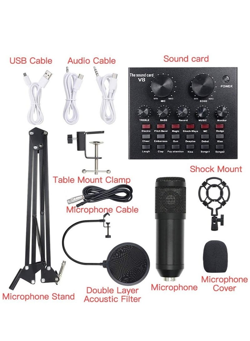 Multi-functional Live Sound Card + Microphone Kit Suspension Transmission Recording Condenser Microphone Set - Image 3
