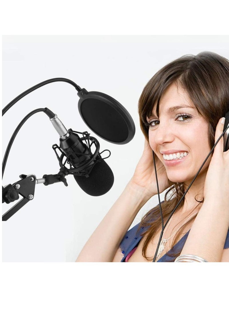 Multi-functional Live Sound Card + Microphone Kit Suspension Transmission Recording Condenser Microphone Set - Image 2