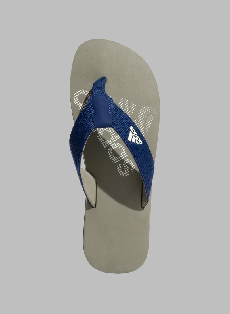 Adidas Zenith