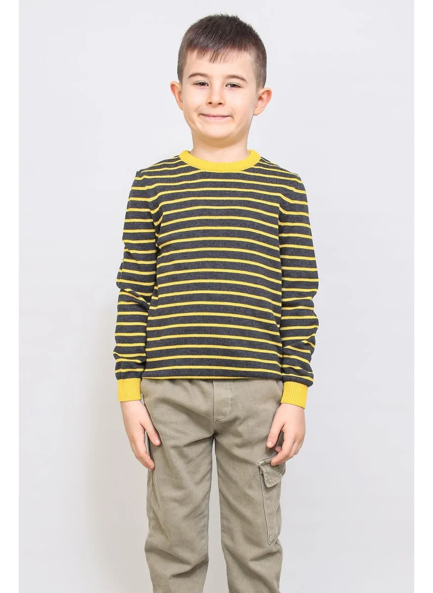 Alexander Gardi Kids' Pinstripe Sweater (C21-18935)