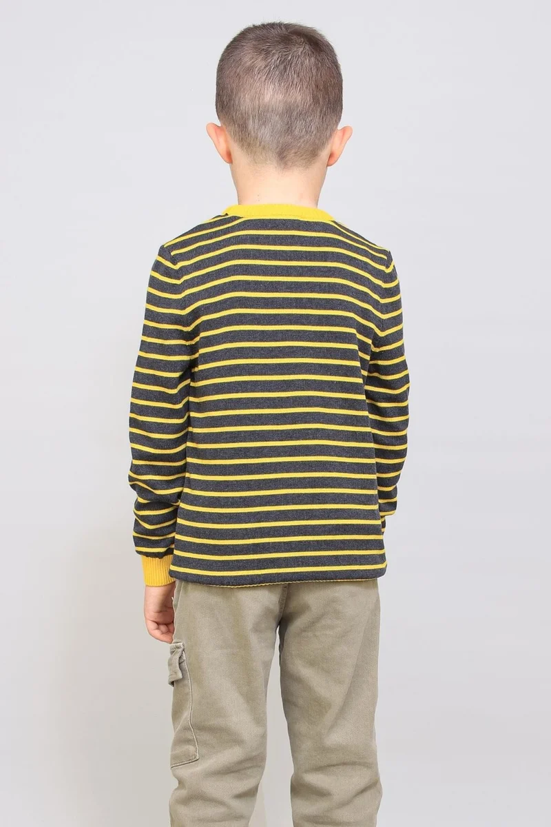 الكسندر جاردي Kids' Pinstripe Sweater (C21-18935)