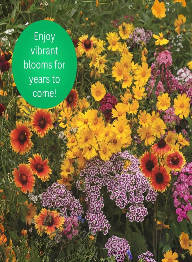 Earth Science Perennial Wildflower Mix - 3-in-1 Formula with Premium Wildflower Seeds, Plant Food and Soil Conditioners - Non-GMO, Natural Ingredients (6lb) - Image 4