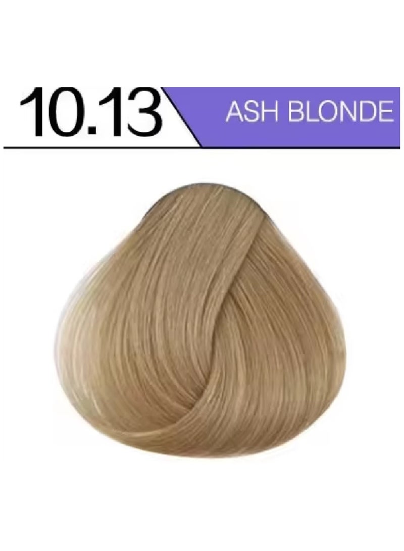 بريمود مجموعة صبغة شعر بريمود 10.13 أشقر رمادي مع مؤكسد - Image 2