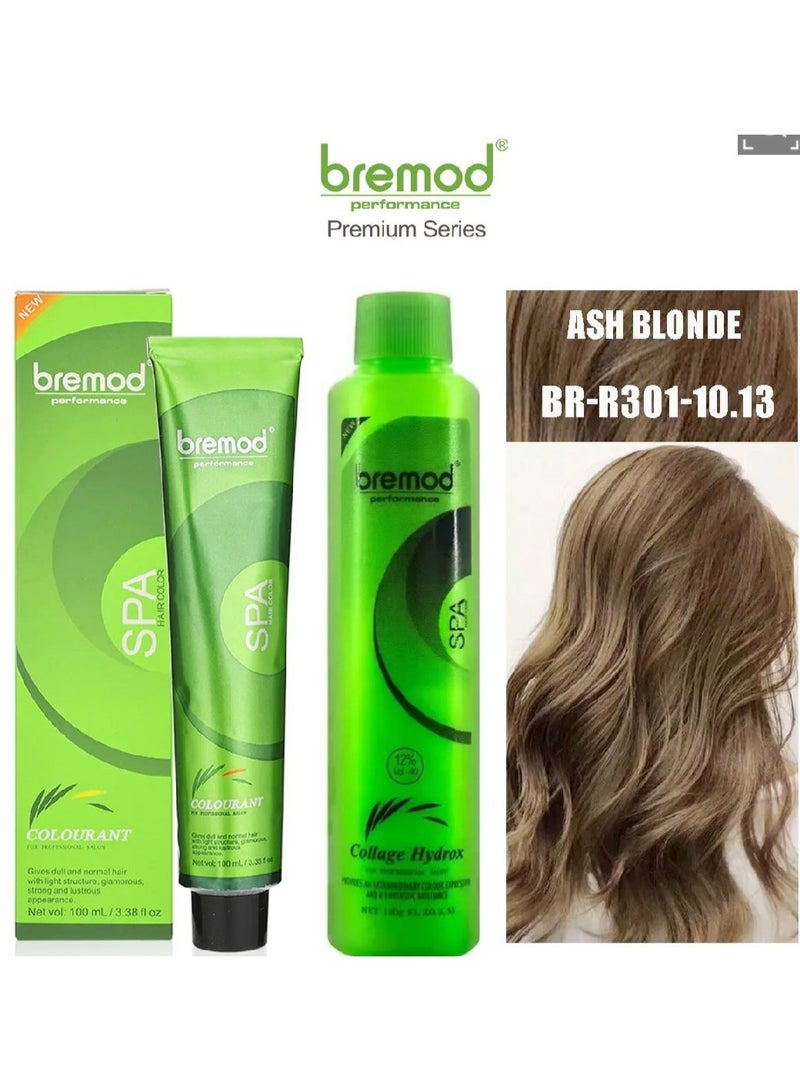بريمود مجموعة صبغة شعر بريمود 10.13 أشقر رمادي مع مؤكسد - Image 1