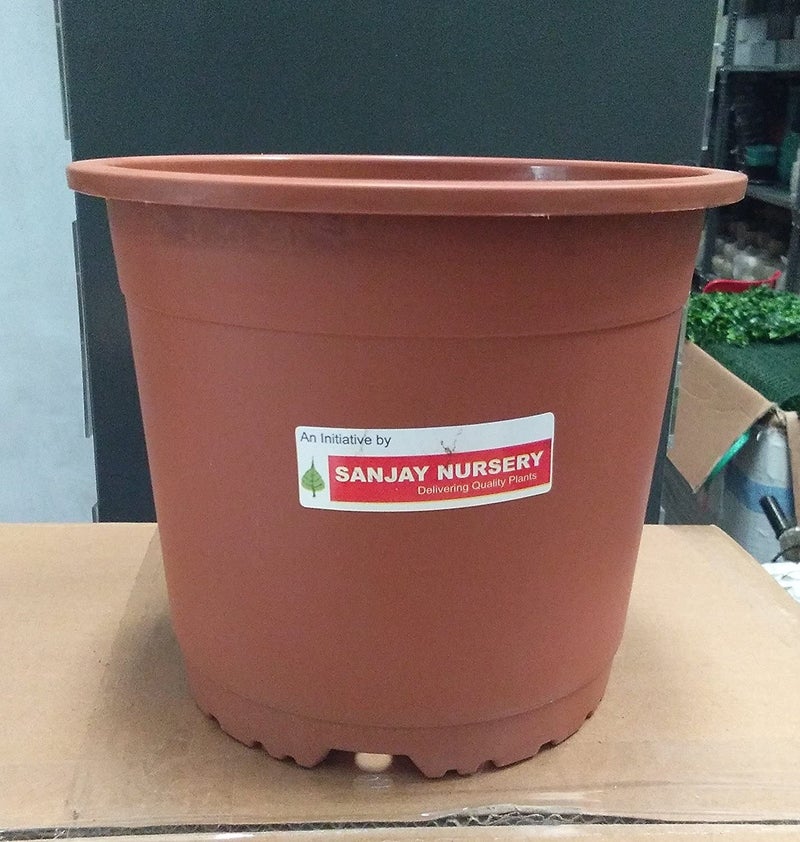 CAPPL 9 Inch (22 cm) Plastic Pot Round (Terracotta, 12 Pieces) - Image 5