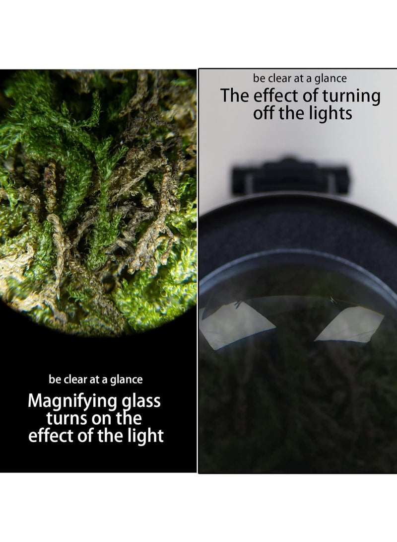 Mini Magnifying Glass Observation Jar with LED Light Sealed Transparent Luminous Glass Storage Jar with Magnetic Lid Odor-resistant (Blue) - Image 3