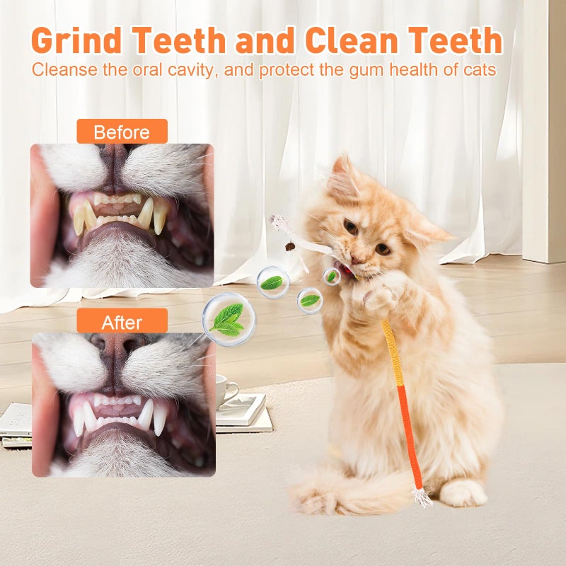 TEAWOO Cat Toys Chew Ropes 3Pcs with Natural Catnip, Safe Teeth Cleaning Toy for Indoor Kittens, Interactive Cat Kitty Toys for All Breeds (27.56 Inches, 3 Bags of Catnip Included) - Image 5
