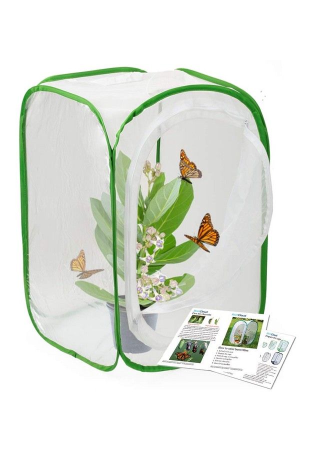 RESTCLOUD Insect And Butterfly Habitat Cage Terrarium Pop Up 24 Inches Tall With Zipper Protection - Image 2
