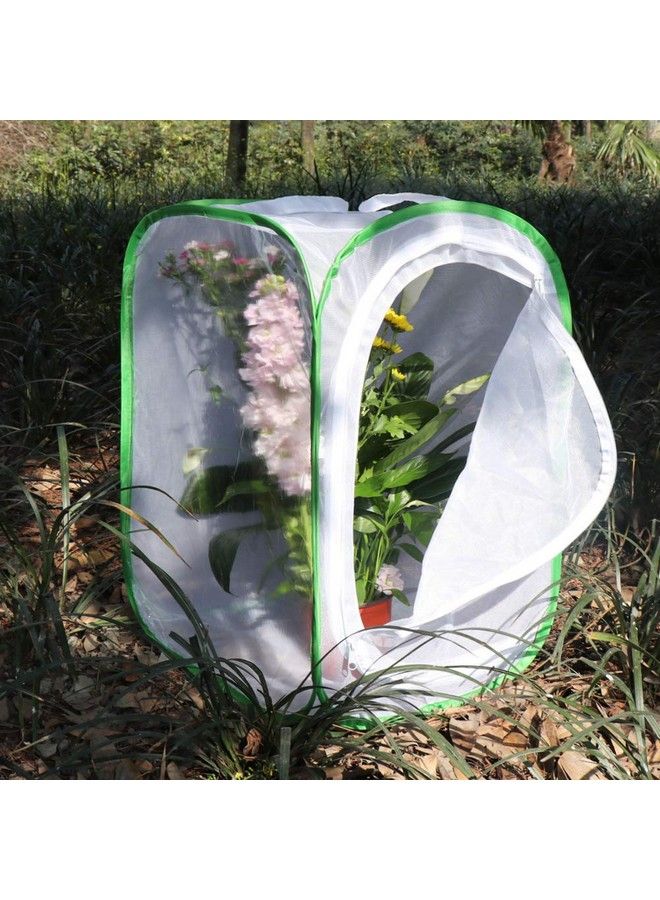 RESTCLOUD Insect And Butterfly Habitat Cage Terrarium Pop Up 24 Inches Tall With Zipper Protection - Image 5