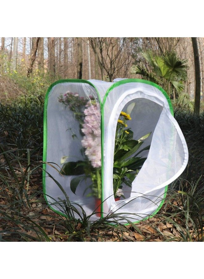 RESTCLOUD Insect And Butterfly Habitat Cage Terrarium Pop Up 24 Inches Tall With Zipper Protection - Image 4