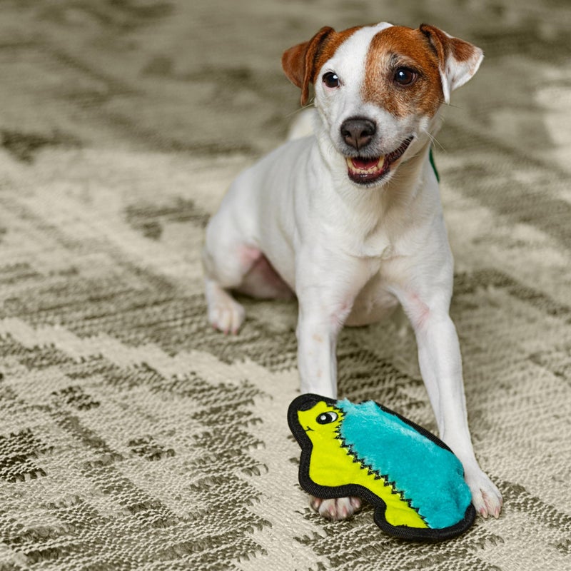 Outward Hound Durablez Minis Stuffing-Free Squeaky Plush Dog Toy for Puppies & Small Dogs - Interactive, Soft Yet Tough, No Mess, Jumbo Squeaker, Long-Lasting Play, Hedgehog - Image 5