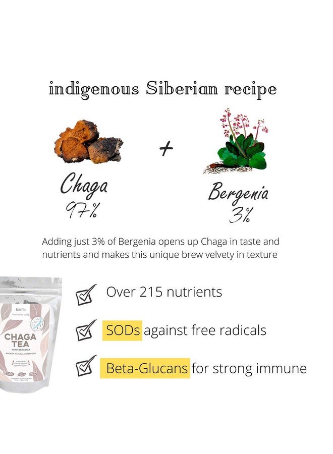 Chaga Tea - 100% Wild Chaga Mushrooms with Bergenia - 30 Unbleached Tea Bags - from Wild Siberian Lake - Hand-Picked by Baikal Tea - Image 2