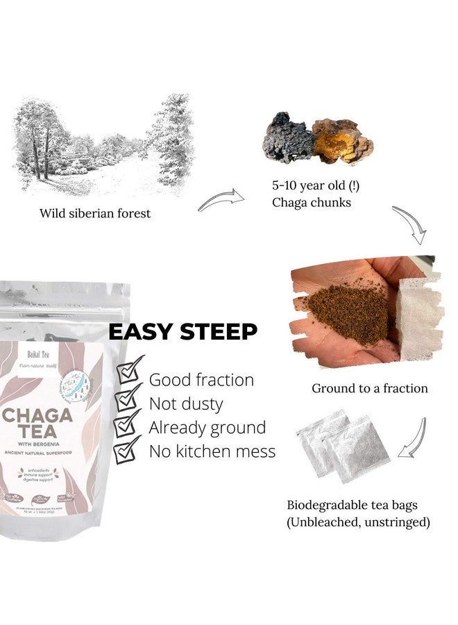 Chaga Tea - 100% Wild Chaga Mushrooms with Bergenia - 30 Unbleached Tea Bags - from Wild Siberian Lake - Hand-Picked by Baikal Tea - Image 4