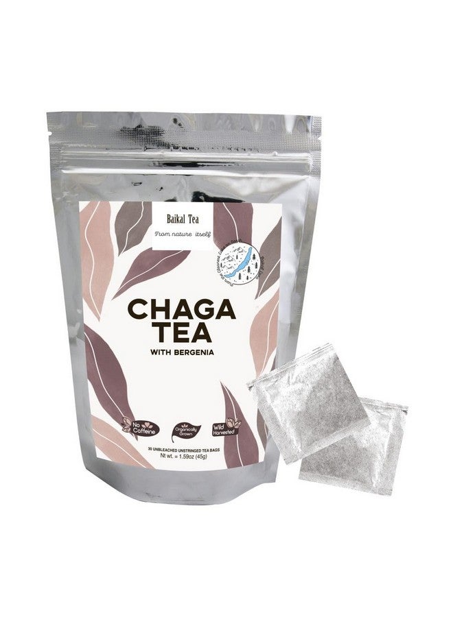 Chaga Tea - 100% Wild Chaga Mushrooms with Bergenia - 30 Unbleached Tea Bags - from Wild Siberian Lake - Hand-Picked by Baikal Tea - Image 1
